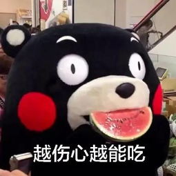 最羡慕这种人了