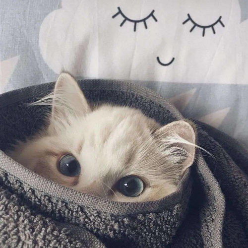 温柔好看的情侣头像