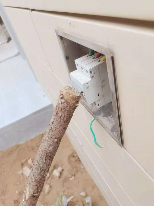 搞笑图片仙长在宿舍里潜心修炼,终于炼出两枚龙角肉芽