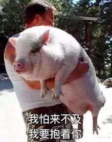 黄江遇上超冷春节,最低气温2真相在这里