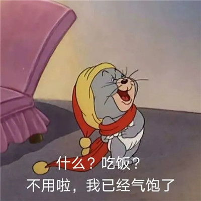 全新又很热门的搞怪表情包大全不用啦我已经气饱了