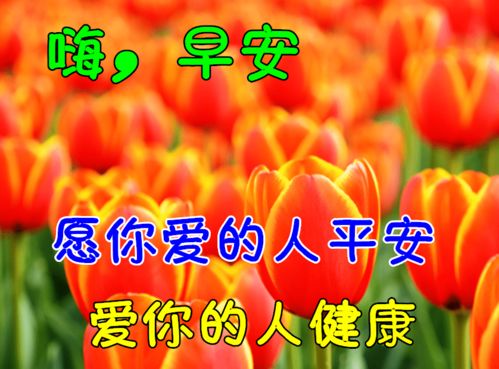 早上好表情包搞笑表情