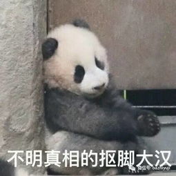 世界上靠抱大腿上头条还不招人烦的,可能只有他了吧