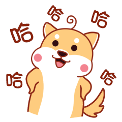 非常好玩的小柴君qq表情图片