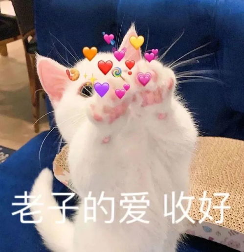 怼人表情包搞笑感恩表情包图片大全集0823期