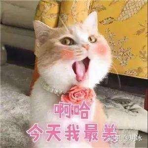 无图无真相搞笑表情包表情包