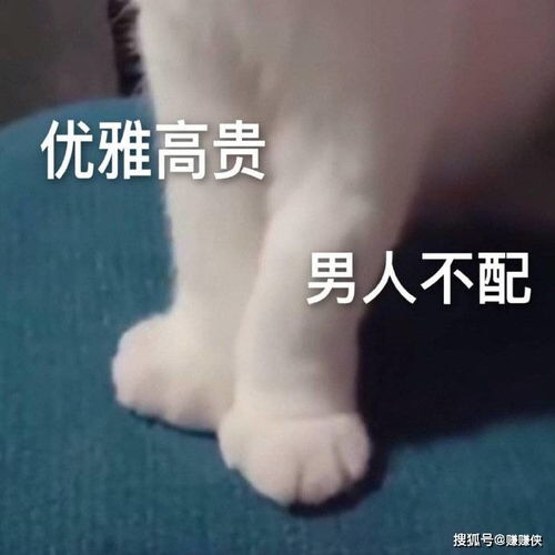 最新表情包图片看我,一切看我脸色行事