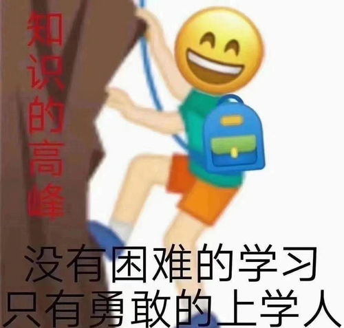 大家好,我是澳洲留学生,我从来没去过澳洲