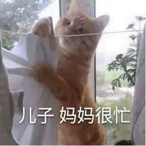 新年沙雕表情包疯狂暗示