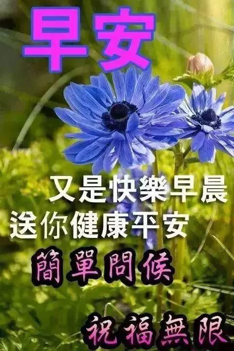 微信最新特别漂亮早上好动态图片带字清晨问候早上好的幽默句子大全