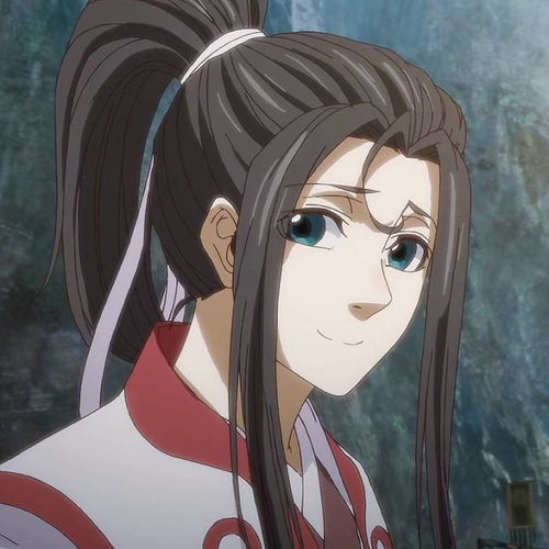 魏无羡和蓝忘机没有后代怎么办纳妾还是领养呢