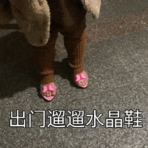 日常沙雕搞笑表情