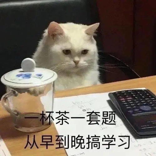高清励志壁纸表情包你自律又努力的样子,真的很酷