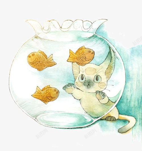 猫头像可爱卡通汪东城