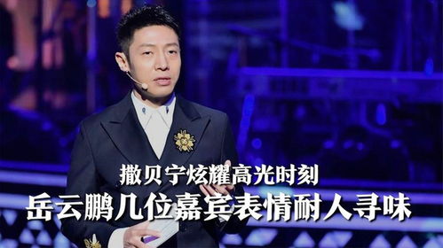 撒贝宁炫耀高光时刻岳云鹏几位嘉宾表情耐人寻味白眼都要翻天上