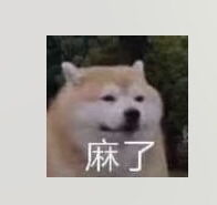 想求一个狗子麻中麻的表情包...