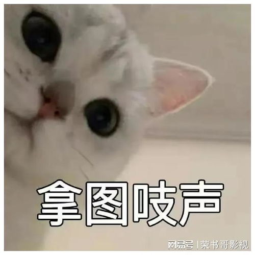丸子妹表情包傻子你就是垃圾