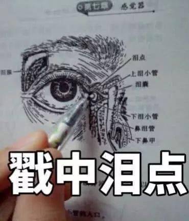 你有多久没给ta送礼物了