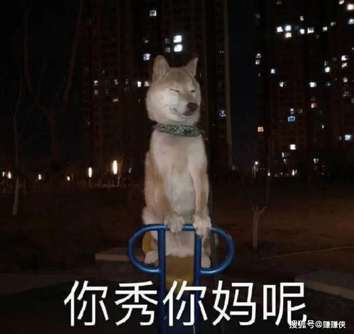 搞笑表情包文案七夕