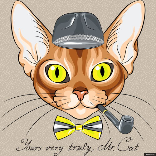 无毛猫猫咪烟斗礼帽黄色头像狗狗猫咪萌宠动物插画绘画狗狗猫咪萌宠动物插画绘画