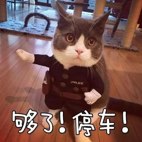 快出来打麻将表情包