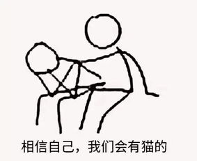 加拿大的这只喵,坐拥140万粉丝它去过的地方我都没去过...