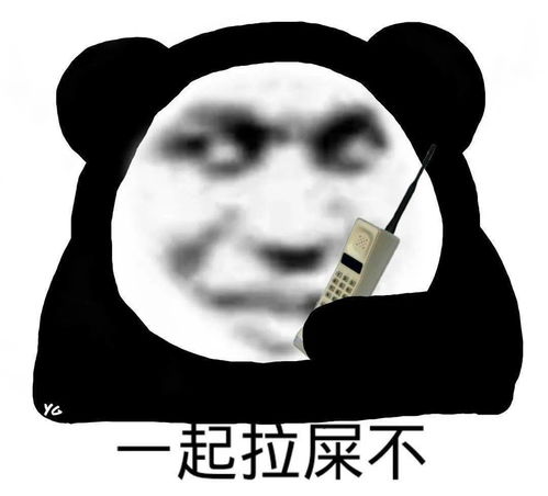 熊猫头表情包你这里是不是有问题