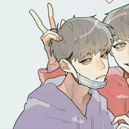 要这张图的另一半