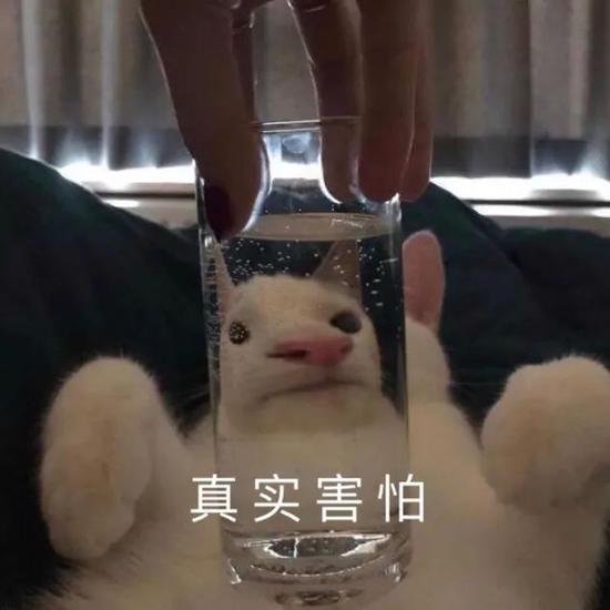 夏季10强面霜来咯快来看看你用过几款