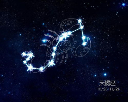 天蝎有自己的一套标准,一旦触碰他的标准底线,会悄悄疏远一个人