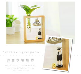 懒人园艺水培植物绿萝办公室内桌面现代简约带灯卡通创意摆件文艺生日礼物