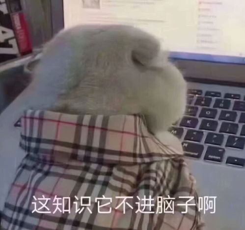 女孩用课本给自己输液把知识送进脑中,期末考试前家长该怎么做