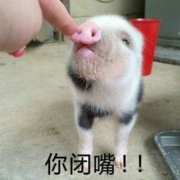 你见过哪些逆天的造假手段