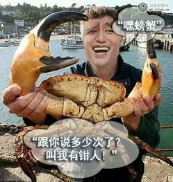 金馆长qq表情系列,全套恶搞金馆长图片