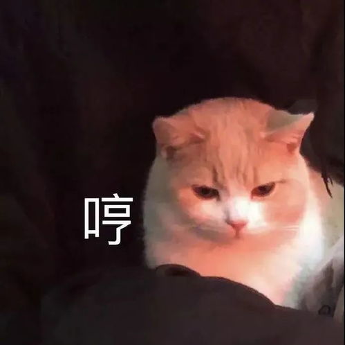沙雕表情快递小哥怎么还不来敲门腾讯新闻
