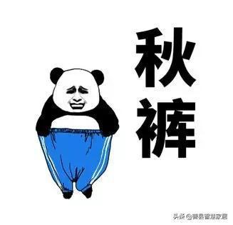没钱买秋裤表情包