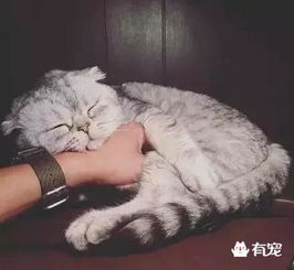 周五下班的鸟样,周一上班的熊样,说的全tm是我