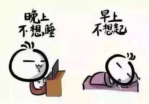 熬夜战斗or起早学习