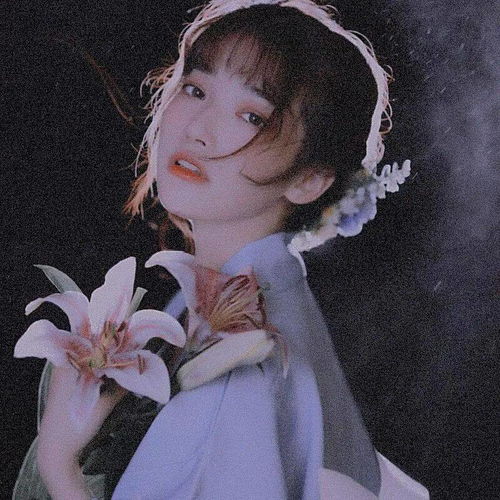 头像丨和理想平等交易和喧嚣保持距离