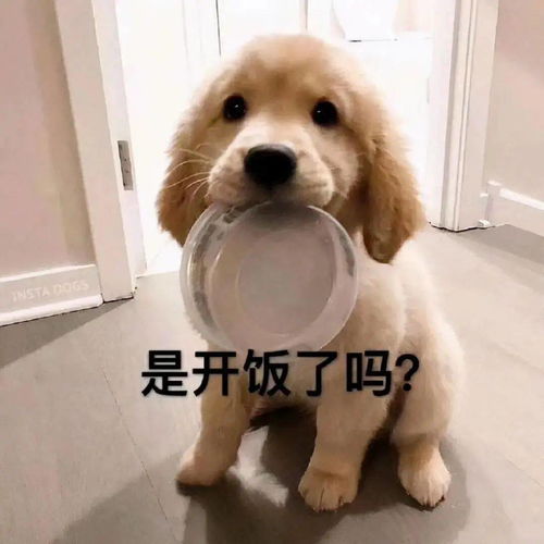 搞笑聊天表情包