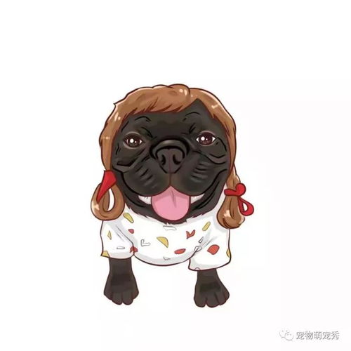 你来嗮我来画手绘宠物萌宠漫画卡通相框免费寄给你