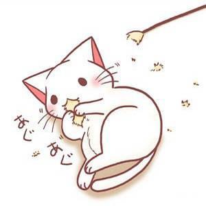 谁有那种看起来很机智可爱的猫的头像越多越好