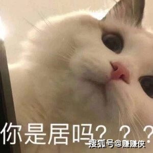和好表情包图片还在生我的气吗这张图能帮你