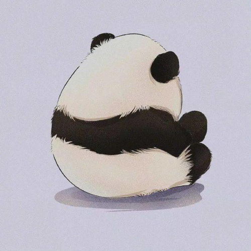 头像丨好看的头像来啦