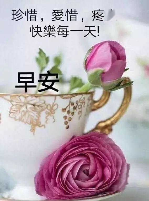 微信早上好温馨祝福语句,最新早上好动态唯美问候图片