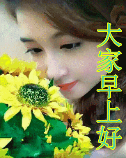 早上好,最全的聊天表情图库太美了送给你