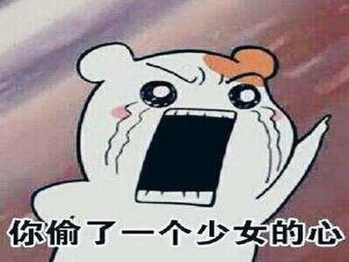 今日份的搞笑可爱表情包已送达