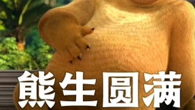 熊出没之怪兽计划表情包
