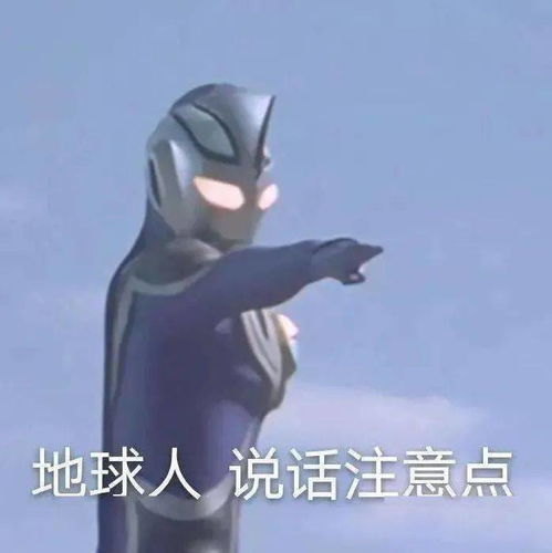 每日精选沙雕表情包