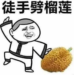4月23日荣威大型团购会威震浙江